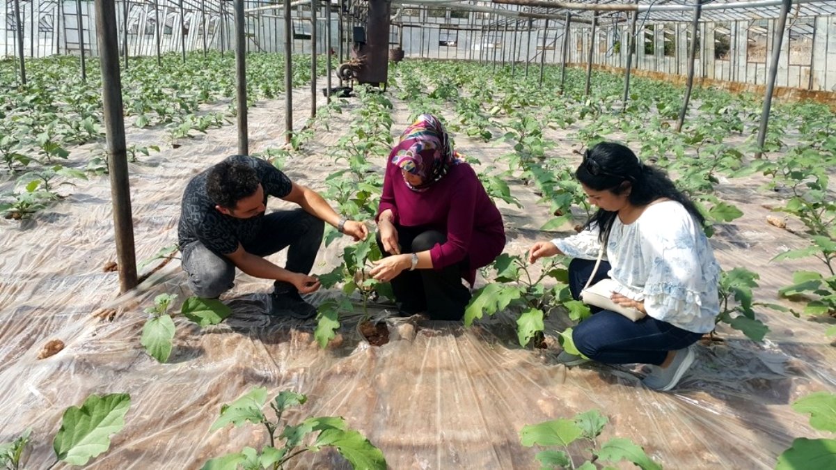 Antalya’da 10 bin 484 çiftçiye biyolojik mücadele eğitimi verildi