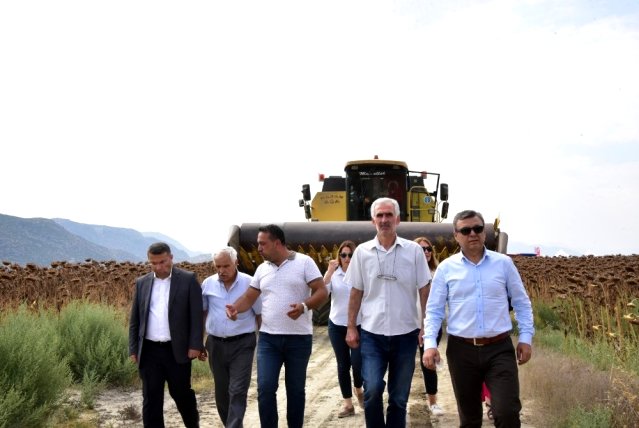 Antalya’da Ayçiçeği Tarla Günü yapıldı