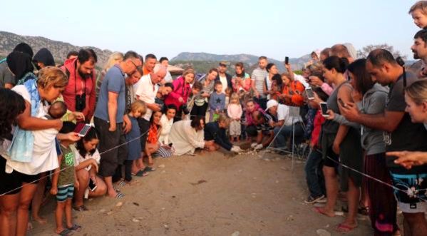 Çıralı’dan 3 bin 640 yavru caretta caretta denizle buluştu