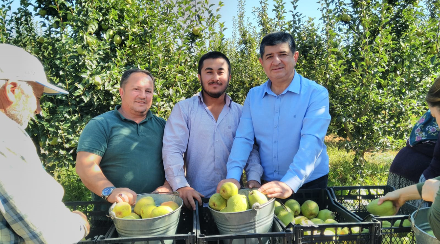 Korkuteli’nde elma üretimi can çekişiyor!