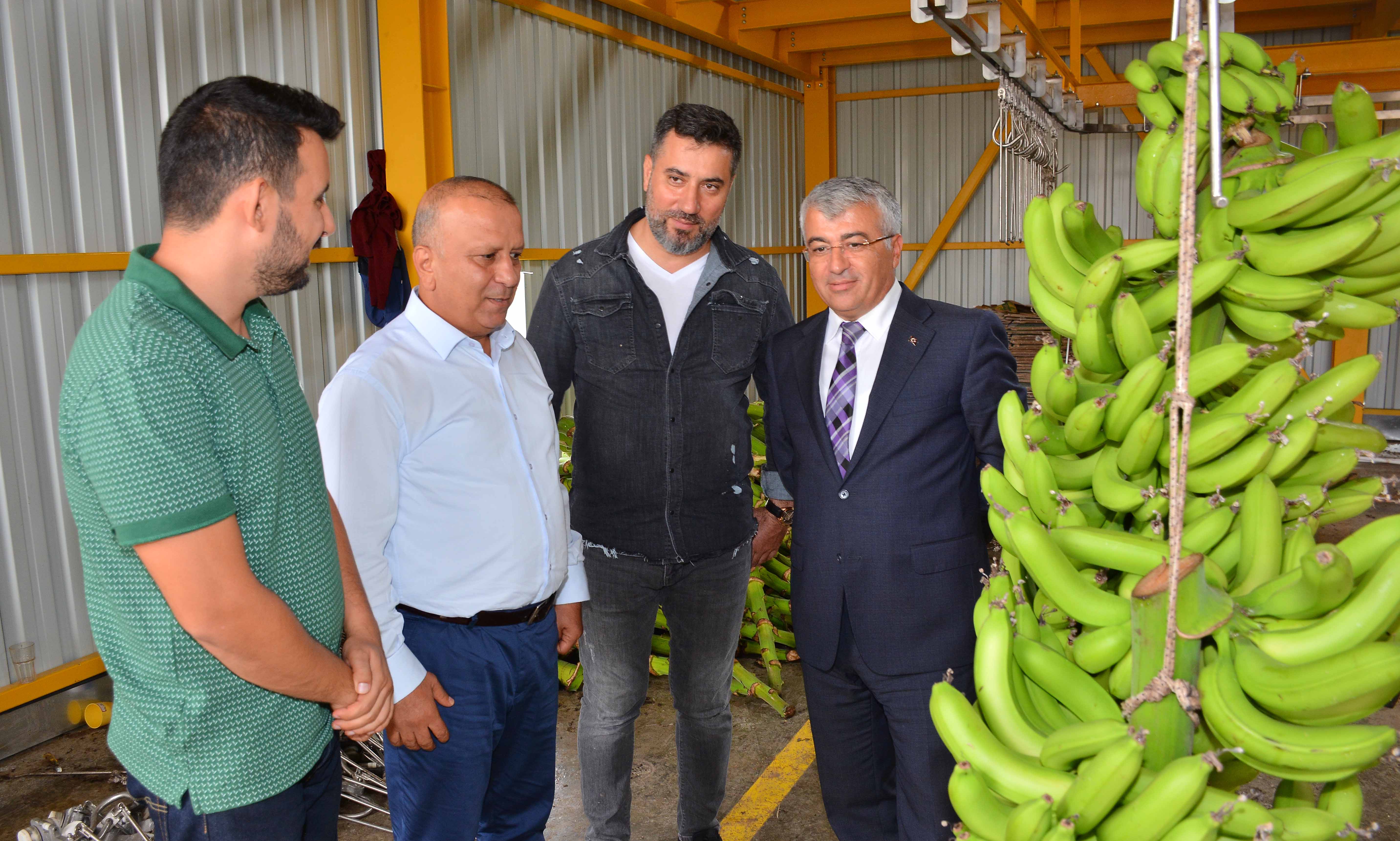 Kaymakam Yiğit ve Başkan Boztaş Türkiye’nin en büyük tesisini inceledi