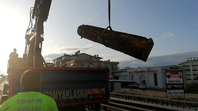 Yola dökülen tomruklar kazaya neden oldu