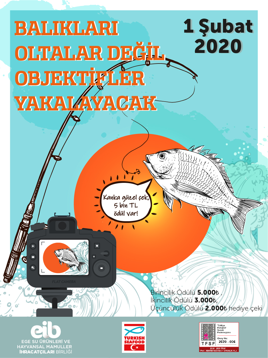 Balıklar, bu yarışma ile meşhur olacak