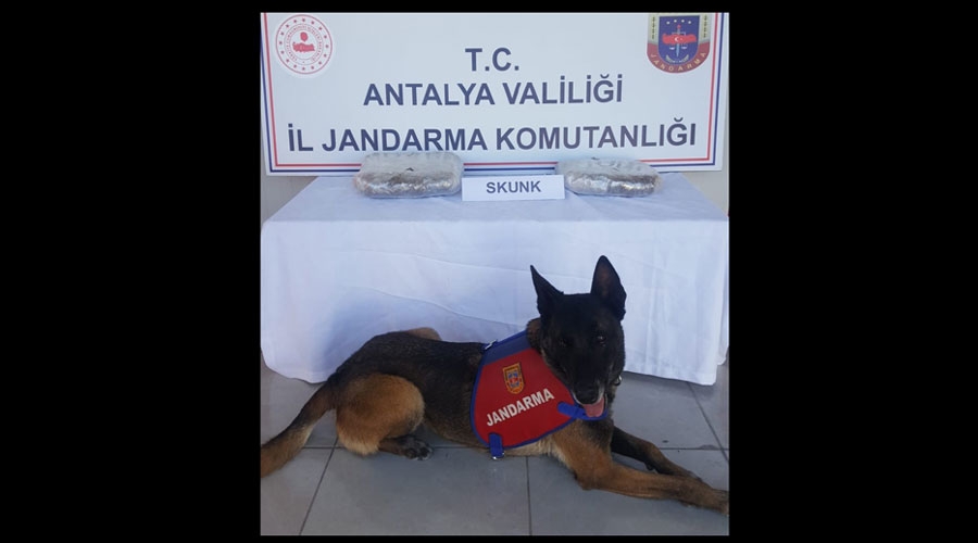 Kazakların içinde Antalya’ya getirdiği uyuşturucu ile yakalandı