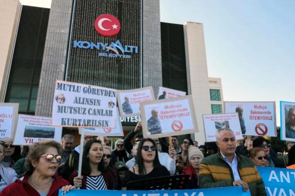 Hayvanseverden ‘Mutlu’yu istemiyoruz’ eylemi