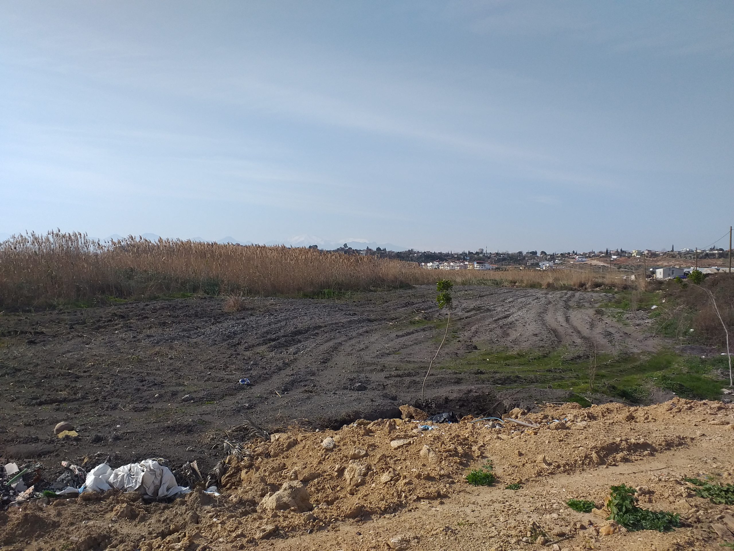 Antalya’nın burnun dibindeki Kuş cenneti can çekişiyor