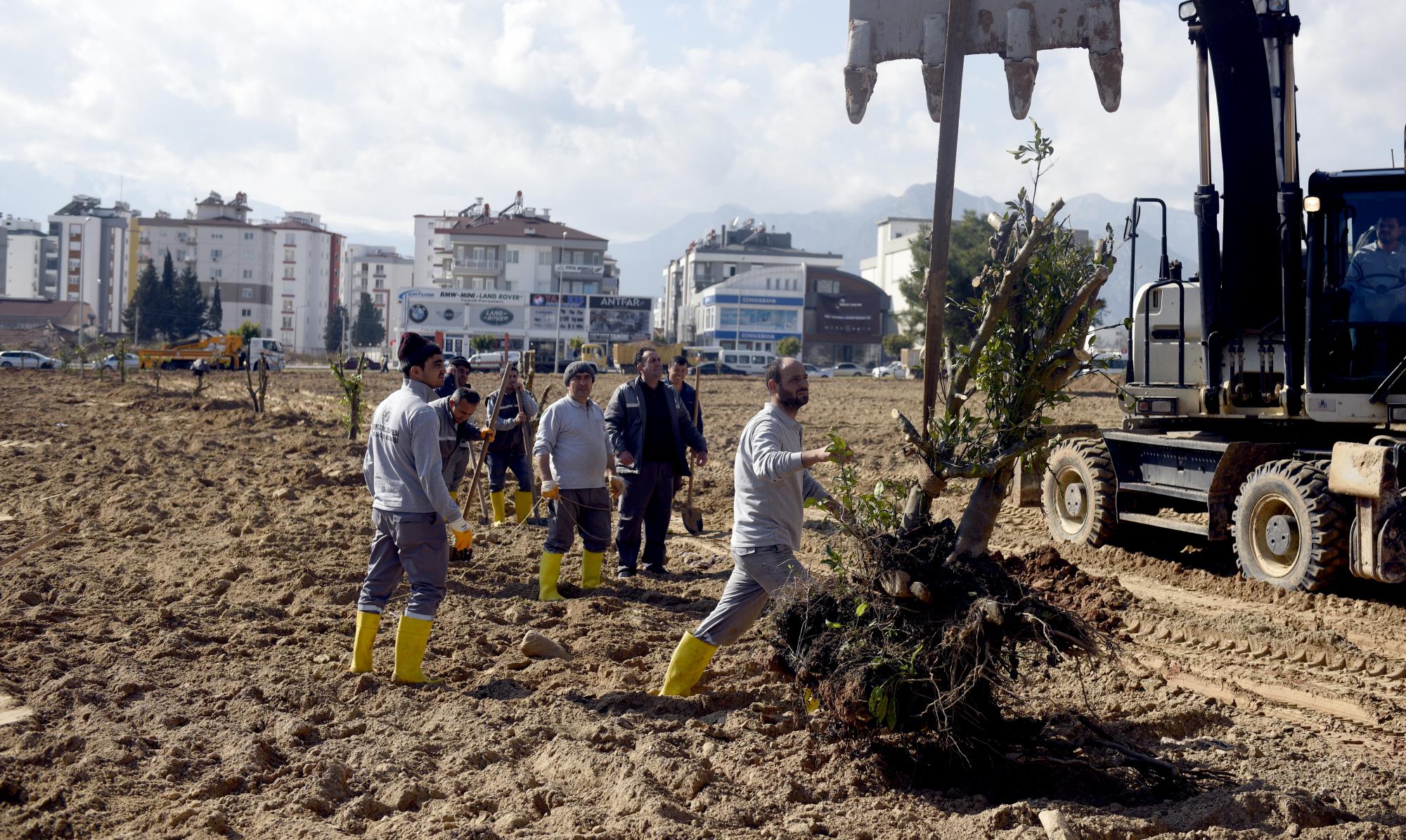 Moloz gitti portakal bahçesi geldi