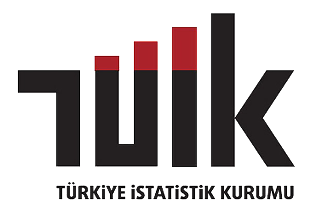 TÜİK Tek kişilik hanehalklarının oranı %16,9’a yükseldi