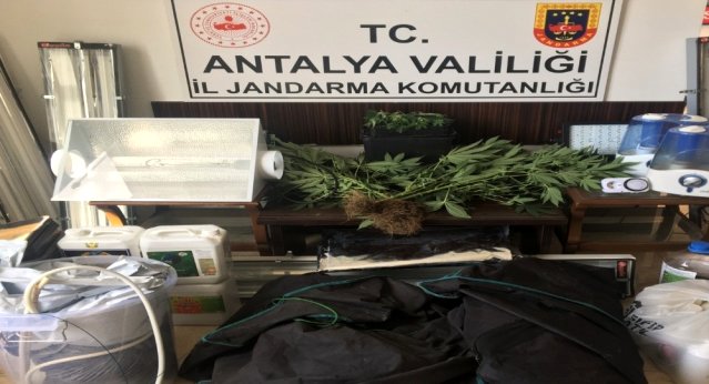 Alanya’da özel düzenekle uyuşturucu yetiştirilen eve baskın