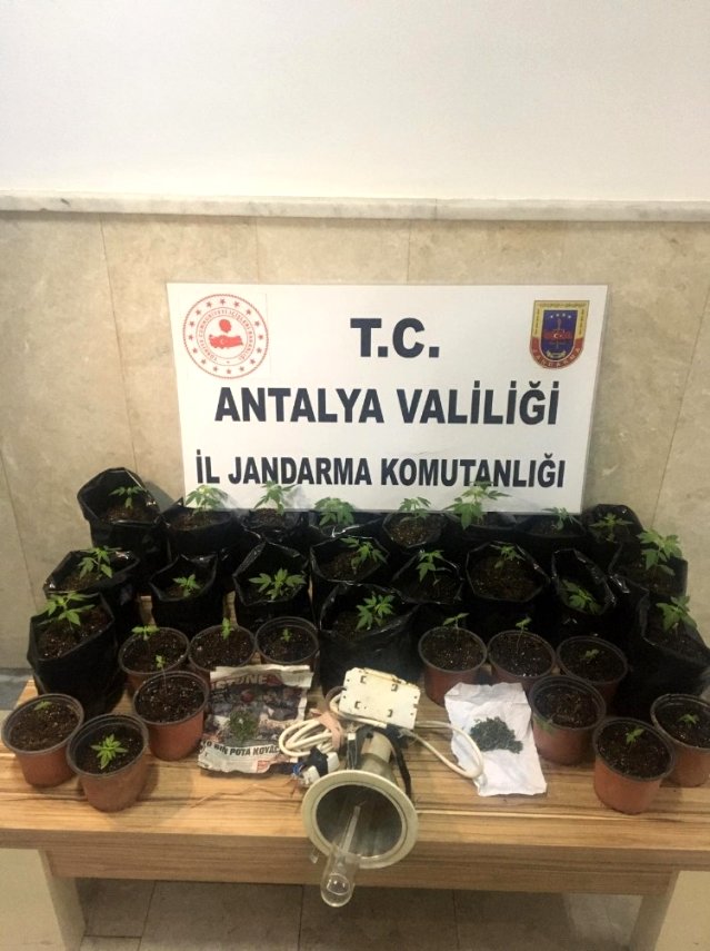 Özel düzenek kurup, uyuşturucu yetiştirilen eve operasyon