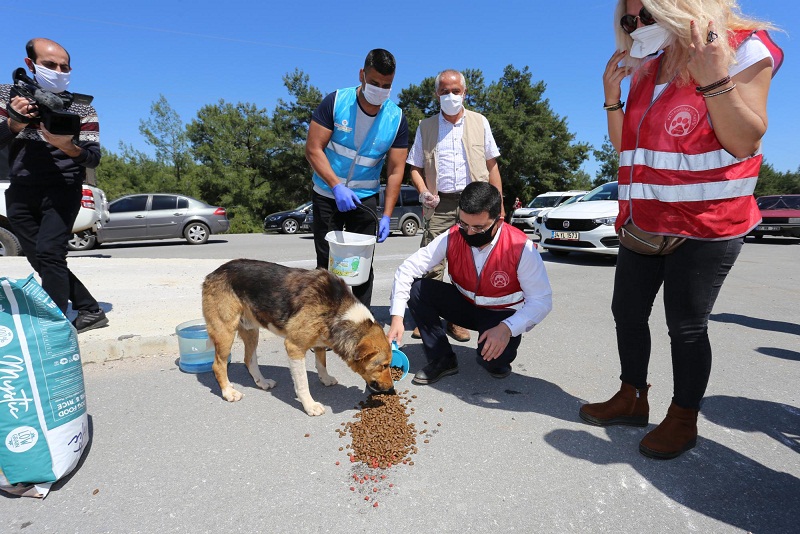 Tütüncü’den Kepez’e hayvan hastanesi müjdesi