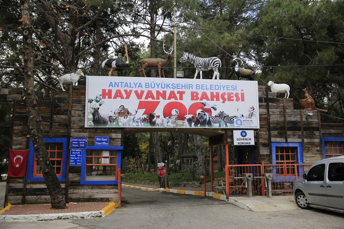 Ziyarete açılan Hayvanat Bahçesi yeni türleri ağırlıyor