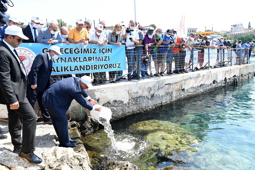 15 BİN YAVRU LEVREK AKDENİZ’LE BULUŞTU