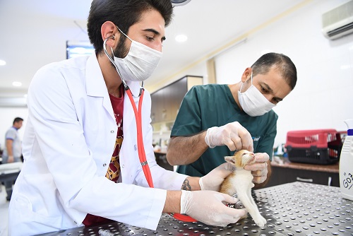 Motor kaputuna sıkışan yavru kedi uzun çabalar sonrası kurtarıldı
