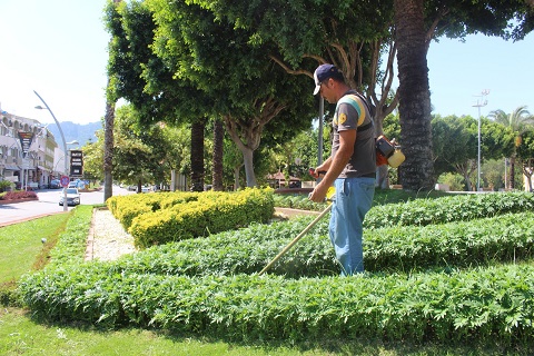 Kemer’de Vektörel mücadele aralıksız sürüyor