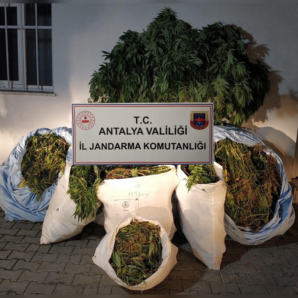 Korkuteli Jandarma Jasat Timi’nden Uyuşturucu Operasyonu