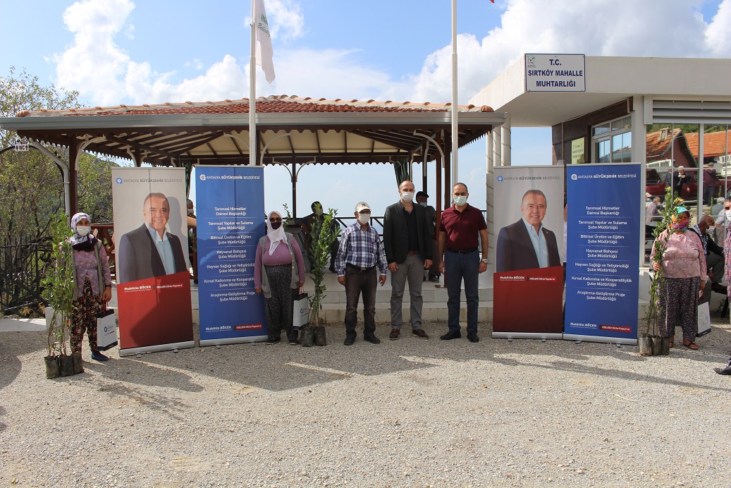 Manavgat’ta defne fidanı yardımı yapıldı
