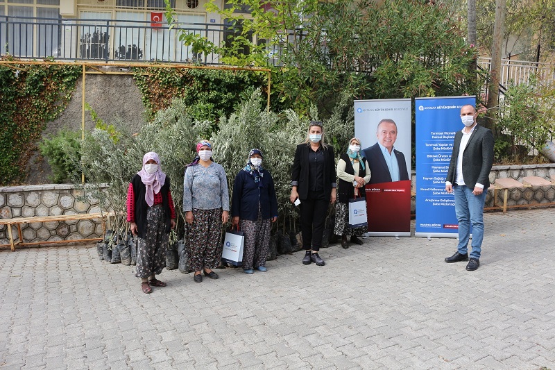İbradı’da zeytin ve defne fidesi dağıtıldı