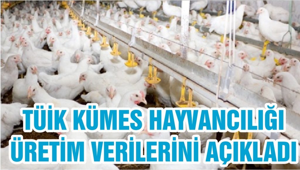 TÜİK: Kümes Hayvancılığı Üretimi, Eylül 2020