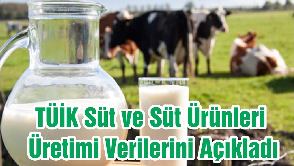 Tüik Verilerine Göre Süt ve Süt Ürünleri Üretimi, Eylül 2020