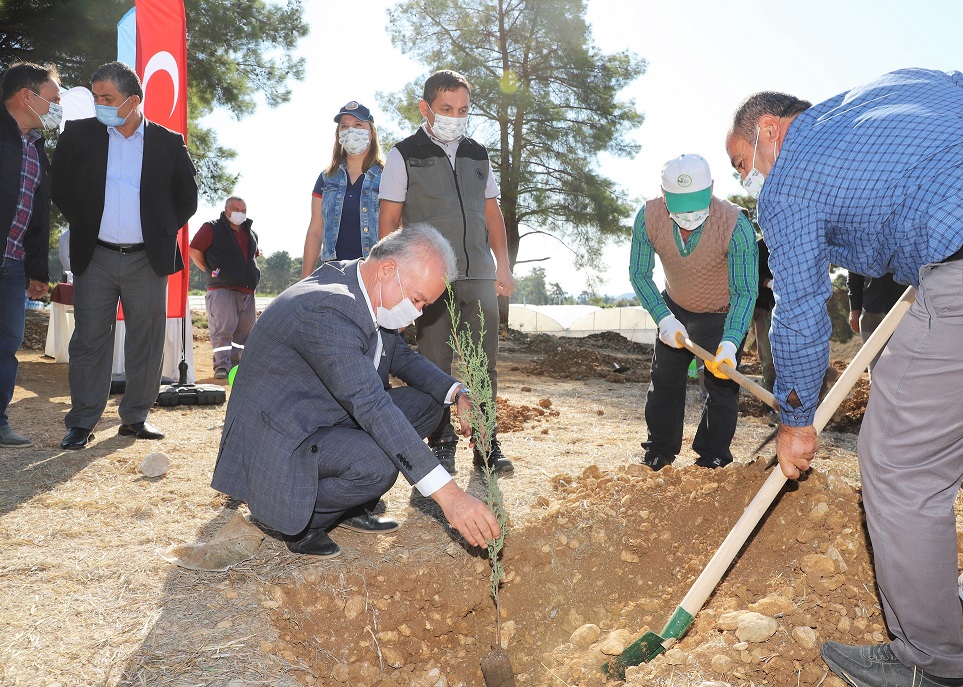 AKSU KURŞUNLU’DA FİDANLAR TOPRAK BULUŞTU