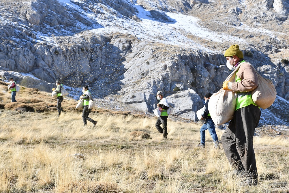 Meralar tohumla zenginleştiriliyor