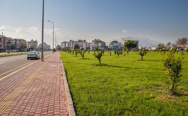 Kepez moloz alanı yemyeşil bir bahçeye dönüştürdü