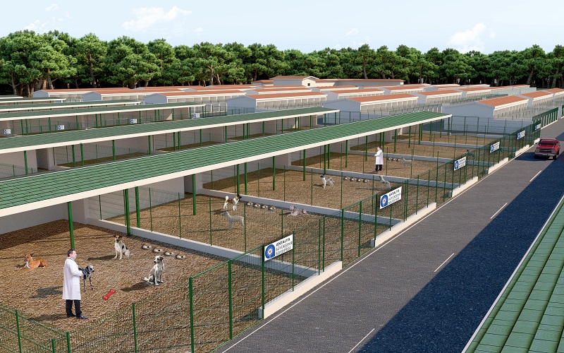 Sokak Hayvanları Bakım Evi Projesi hızla ilerliyor