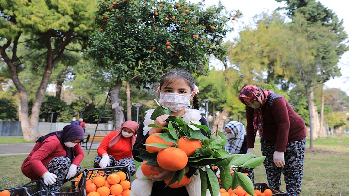 Antalya’nın turunçları KORKOOP kadınlarının elinde çok lezzetlenecek