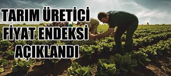Türkiye İstatistik Kurumu, Ocak ayı tarım ürünleri üretici fiyat endeksi açıklandı