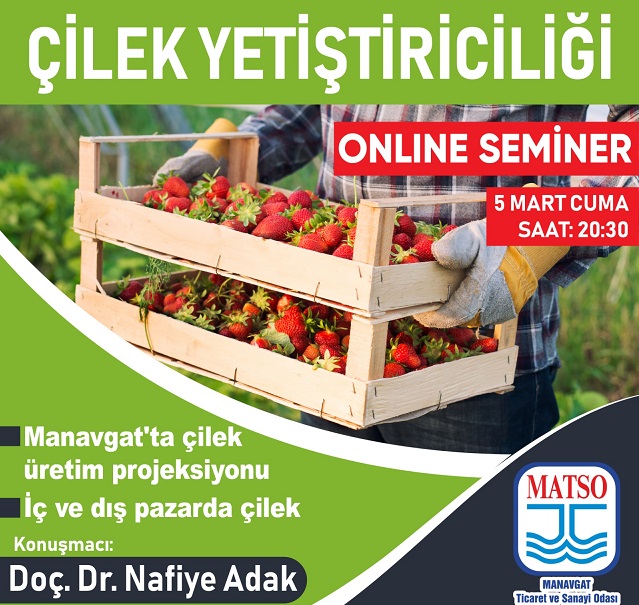 MATSO, online çilek yetiştiriciliği semineri düzenliyor