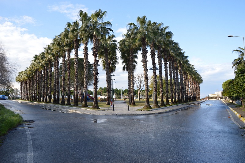 Side’deki “Kenan Evren Bulvarı”  NAR BULVARI OLDU