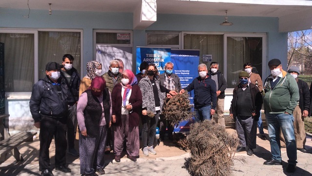 Büyükşehir 3 ilçede daha lavanta desteği sağladı