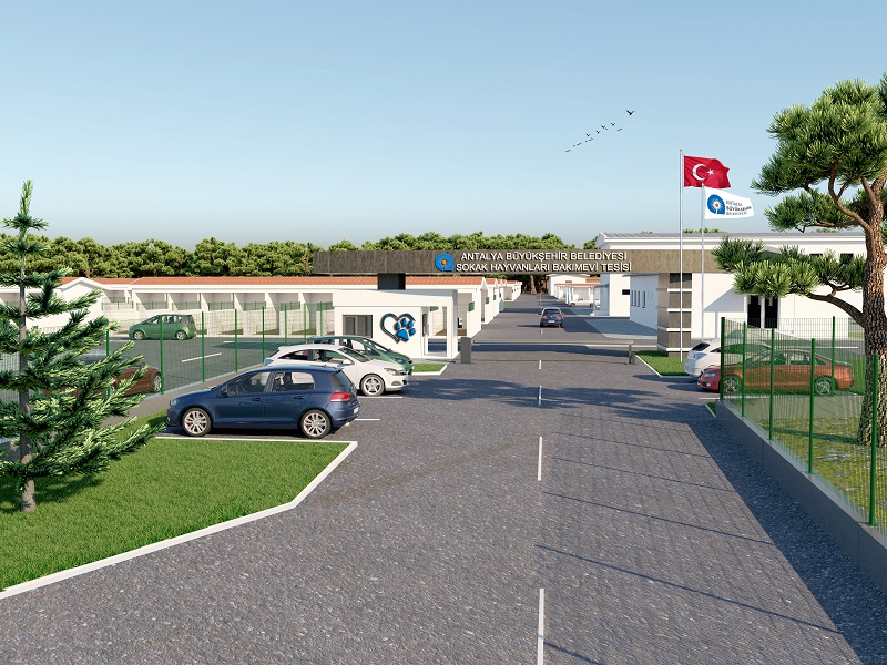 Sokak Hayvanları Bakım Evi Projesi sürüyor