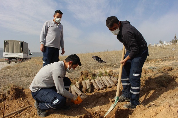 Korkuteli’nde mezarlıklara fidan dikildi
