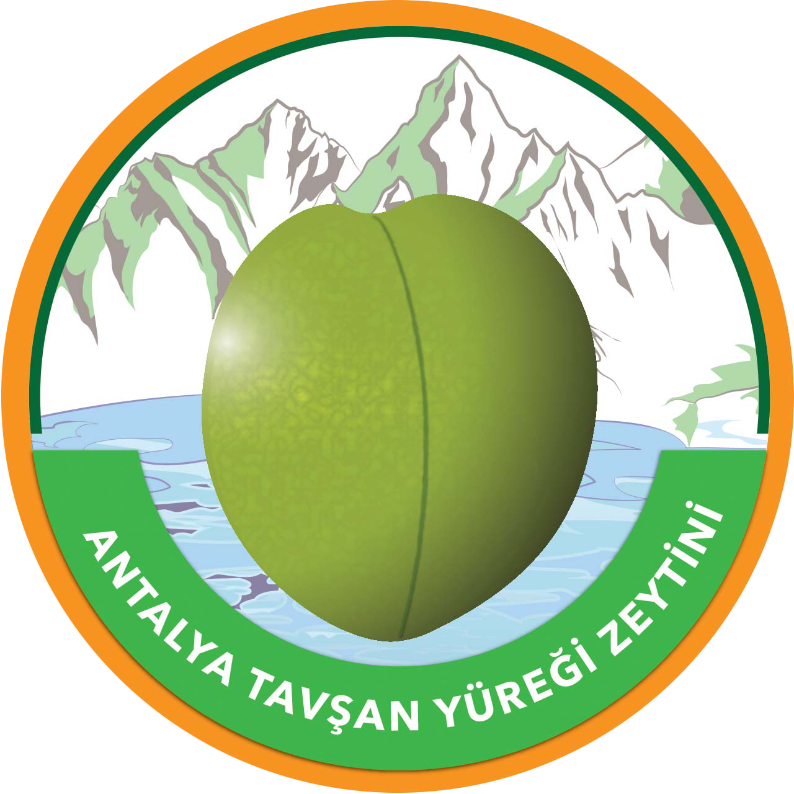Tavşan Yüreği Zeytini’ni Coğrafi İşaret Logosuyla Satacaklar