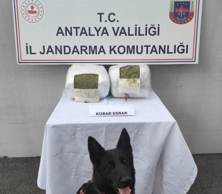 Jandarma yol kontrol noktasında otobüste 11 kilo esrar ele geçirdi