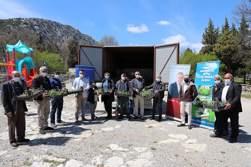 İbradı tıbbi aromatik bitkilerin merkezi olacak