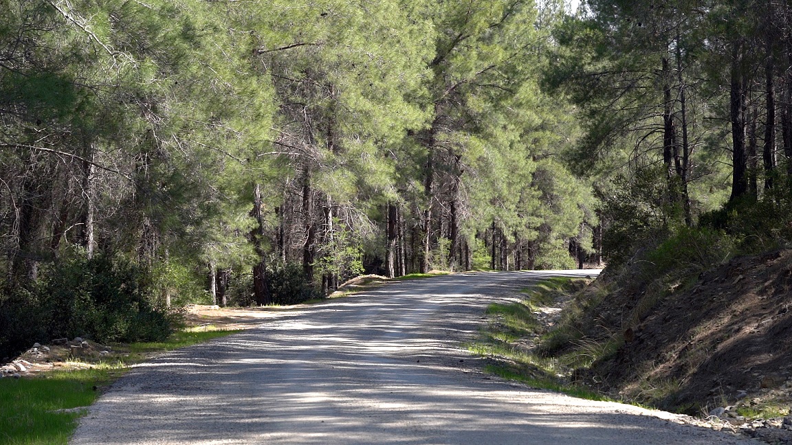 Doğa ile baş başa yürüyüş ve bisiklet keyfi