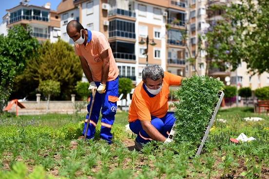 500 Bin Adet Çiçek Dikiyor, Muratpaşa Rengarenk Olacak