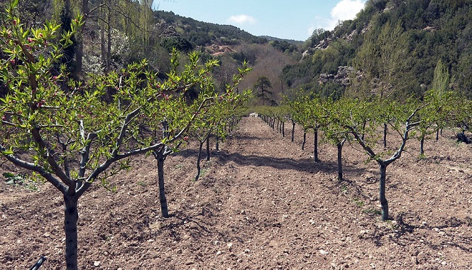 Korkuteli Sülekler’de kapalı devre sulama sistemi kuruluyor