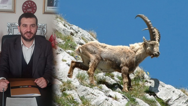 Kayabaş, İhale yasal değil…