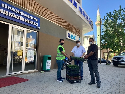 Maydanoz, Kekik ve Fesleğen fideleri Akseki ve Gündoğmuşlu çiftçiye dağıtıldı