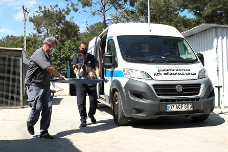 Hayvan ambulansı ile sevimli dostlarımıza anında müdahale