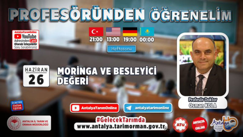 Akademi Gibi Eğitim Programı
