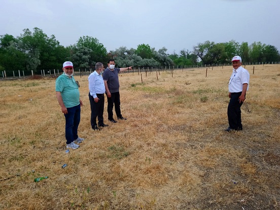 Manavoğlu ; Bin Ağaç Kuruttular!