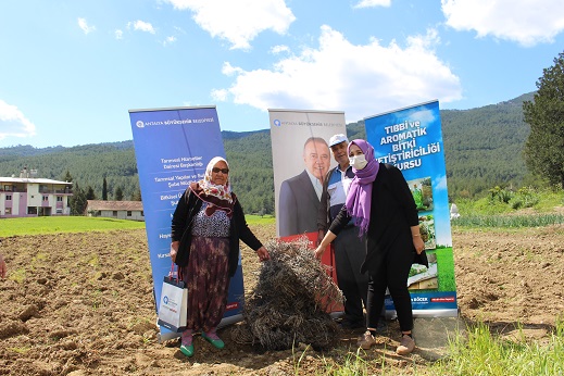 Büyükşehir, çiftçiye destek için tıbbi ve aromatik bitki üretiyor