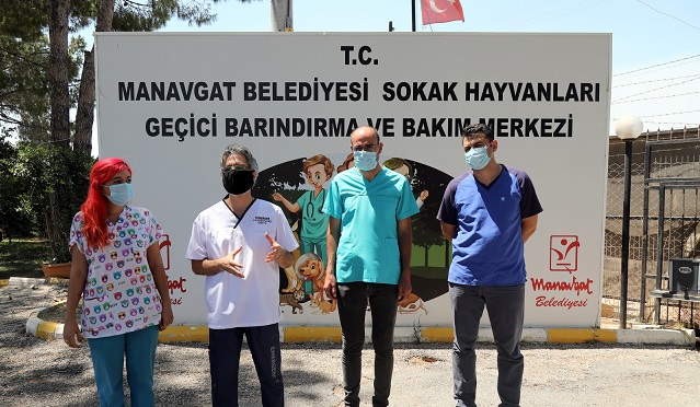 Yangında Yaralanan Hayvanların Tedavisine Başlandı