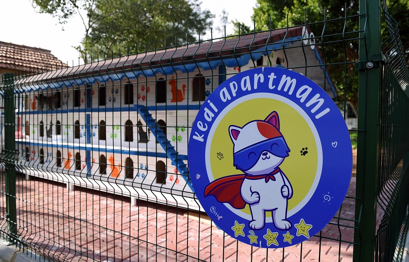 Dokumapark’ta sokak kedilerine konforlu yaşam alanı