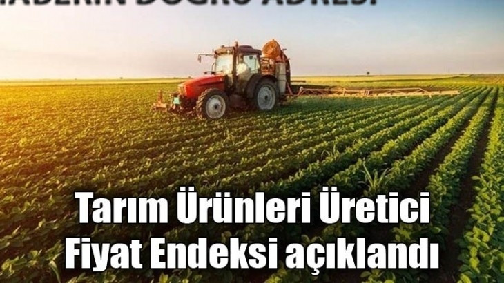 Haziran 2021 Tarımsal Girdi Fiyat Endeksi